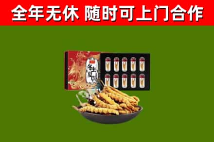 金湾烟酒回收冬虫夏草礼盒.jpg